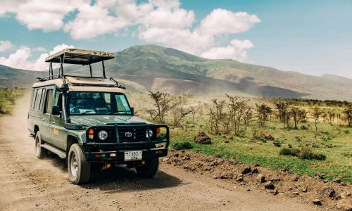 ashim-d-silva-h8b1T39sm2w-unsplash