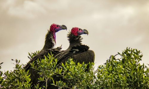 bibhash-polygon-cafe-banerjee-AMh7SqhtuLI-unsplash