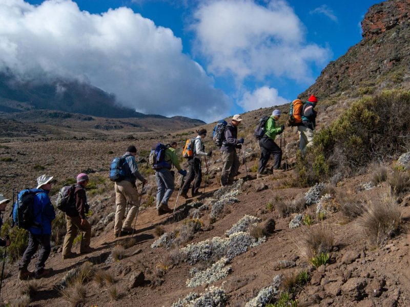 crispin-jones-DDEBAl7ULAo-unsplash