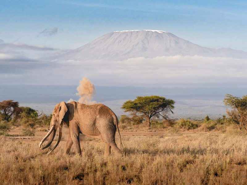 pexels-florian-kriechbaumer-1479976889-26926276