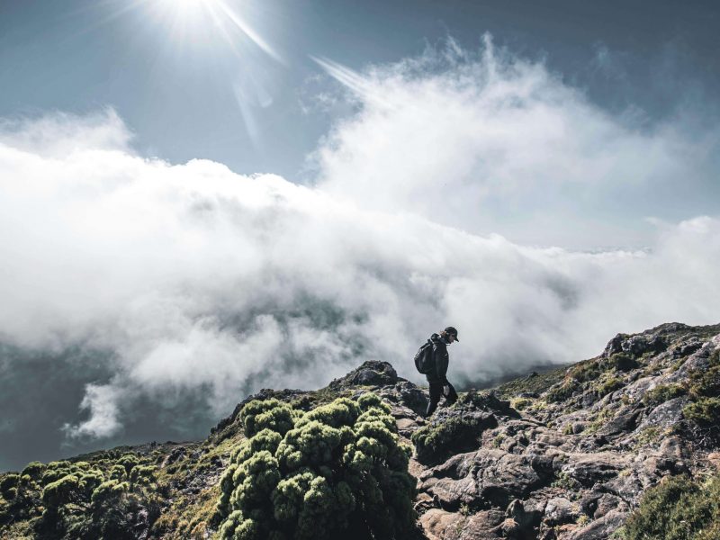 pexels-karolina-2031292-28028273